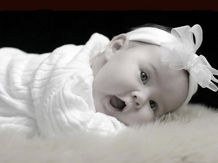 persian_baby