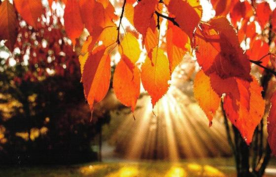 autumn