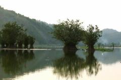 Nature of Iran