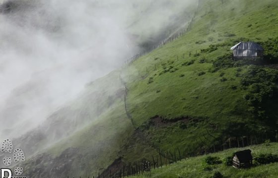 Naour-and-Soubatan-2