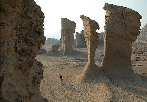 Saayeh-khosh-Southern-Iran