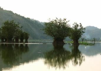 A-serene-Lake-in-Guilan-Northern-Iran