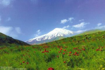 damavand