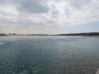 lake-IMG_1948
